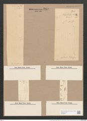 Pleurosigma angulatum strigosum (Queck.) W.Sm. (de-Toni-Nr.: Genus 13, Species 1001) Zeichnungen Sammlung Grunow Nr. 2025 (NHMW-BOT-W0368877)